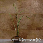 アートウォールこうそ