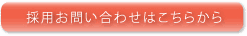 ̗p₢킹͂炩